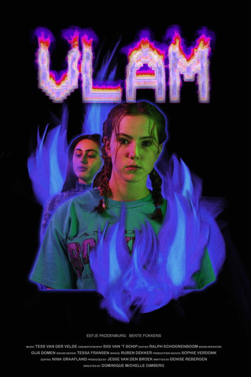 Movie poster for Spark (2018)
