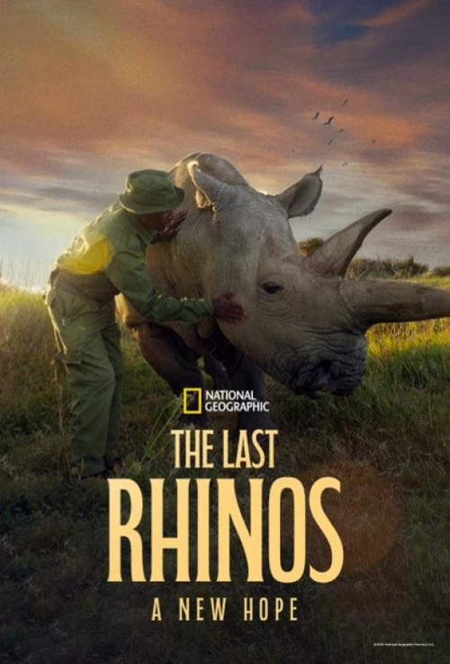 Movie poster for The Last Rhinos: A New Hope (2025)
