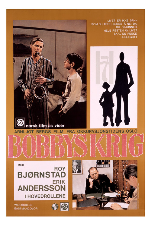 Movie poster for Bobby's War (1974)
