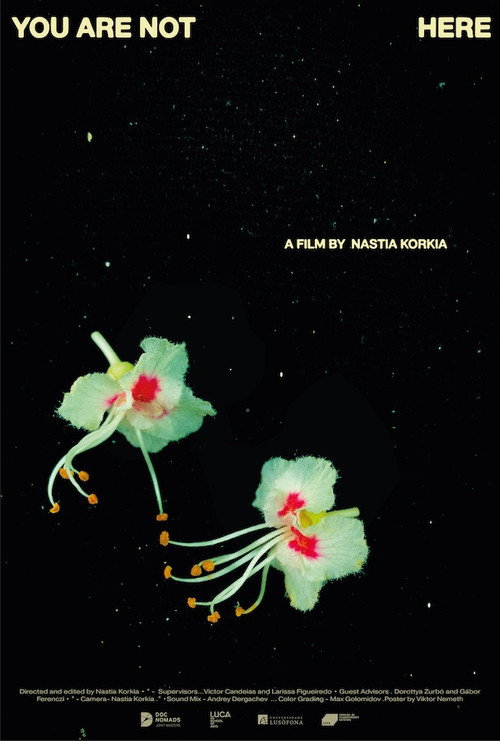 Movie poster for You are not here (2023)
