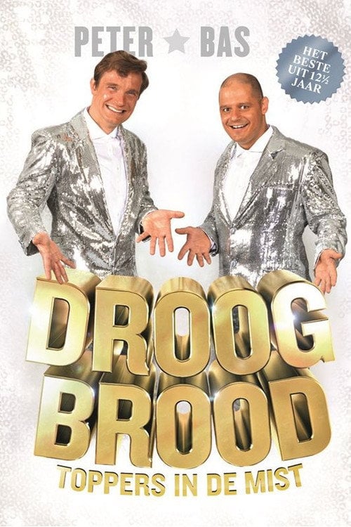 Movie poster for Droog Brood: Toppers in de Mist (2013)