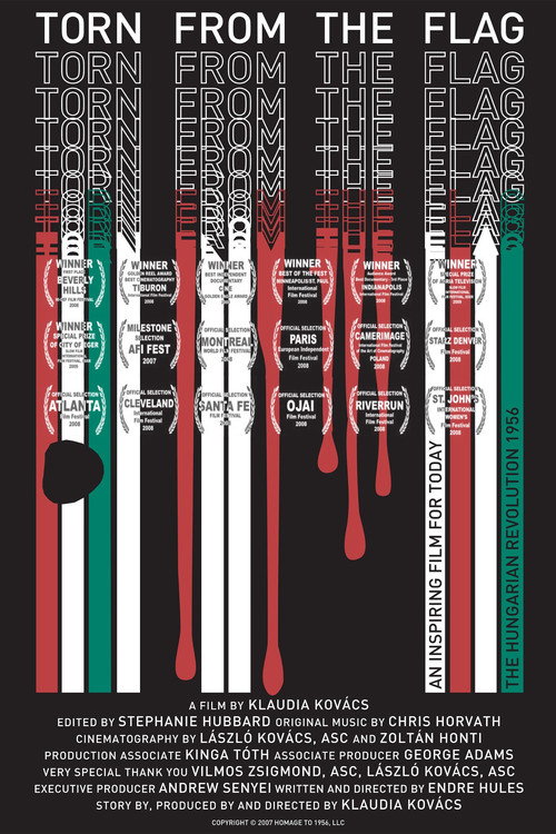 Movie poster for Torn from the Flag (2007)
