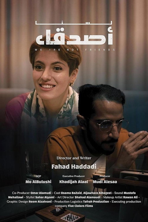Movie poster for We Are Not Friends (2024)
