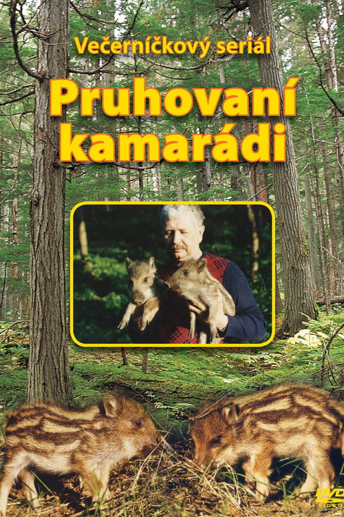 Pruhovaní kamarádi poster