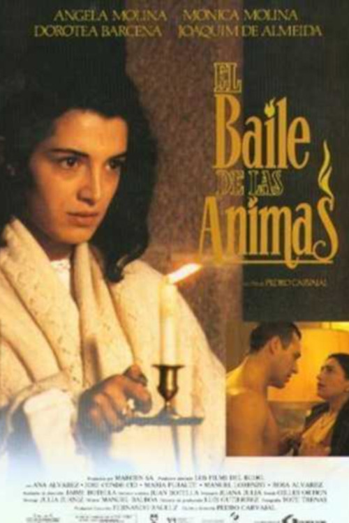 Movie poster for El baile de las ánimas (1994)