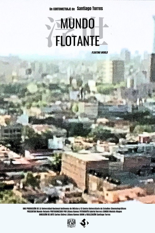 Movie poster for Floating World (2008)