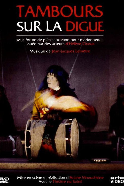 Movie poster for The Flood Drummers (2003)