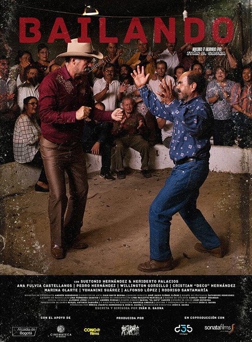 Movie poster for Bailando (2020)
