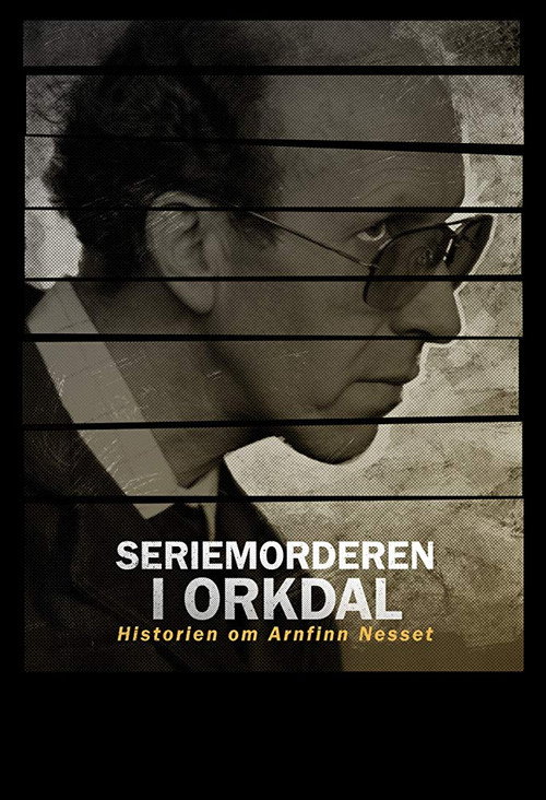 Series poster for Seriemorderen i Orkdal (2020)