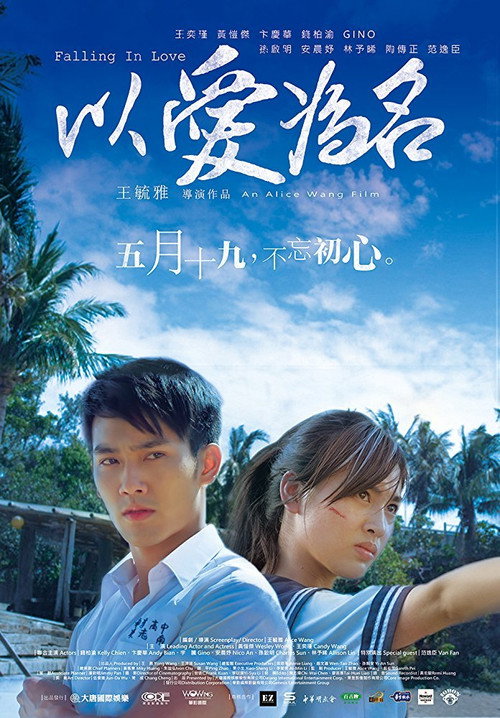 Movie poster for Falling in Love (2017)
