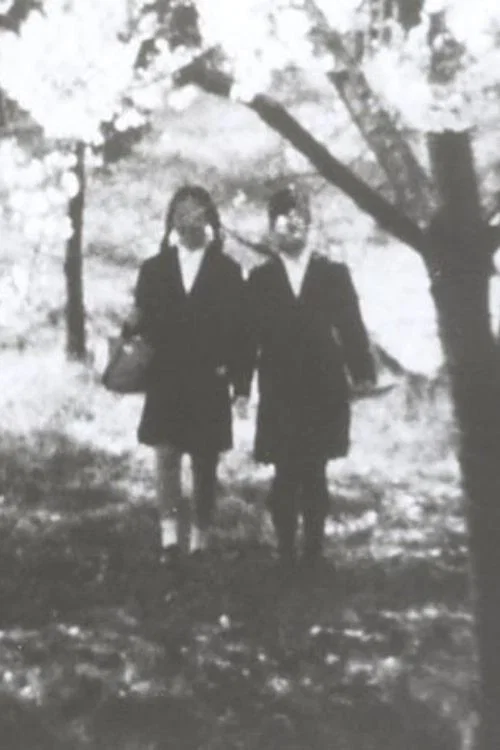 Movie poster for 春風 (1993)