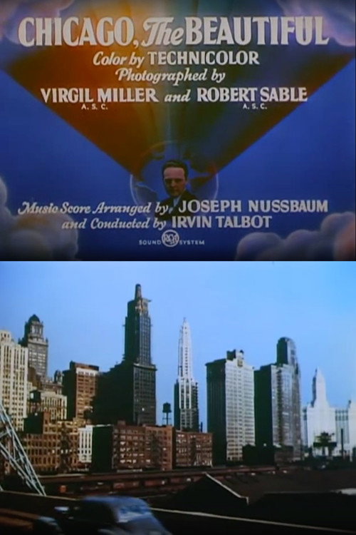 Movie poster for Chicago, the Beautiful (1948)