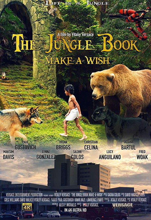 Movie poster for The Jungle Book: Make-A-Wish (2016)