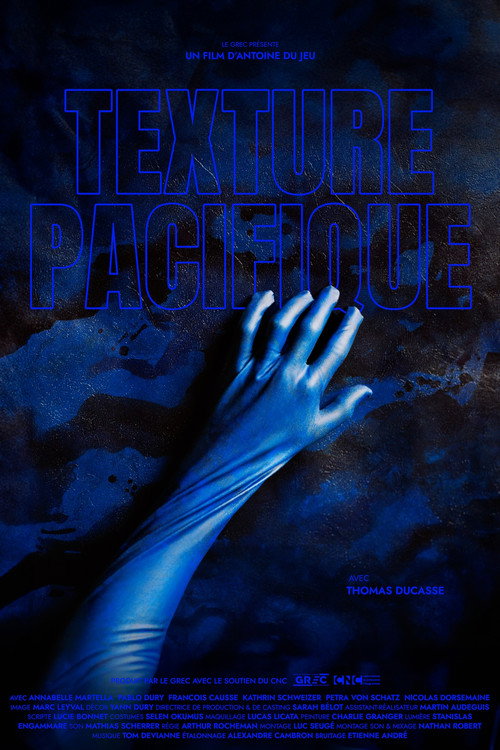 Movie poster for A Pacific Touch (2024)