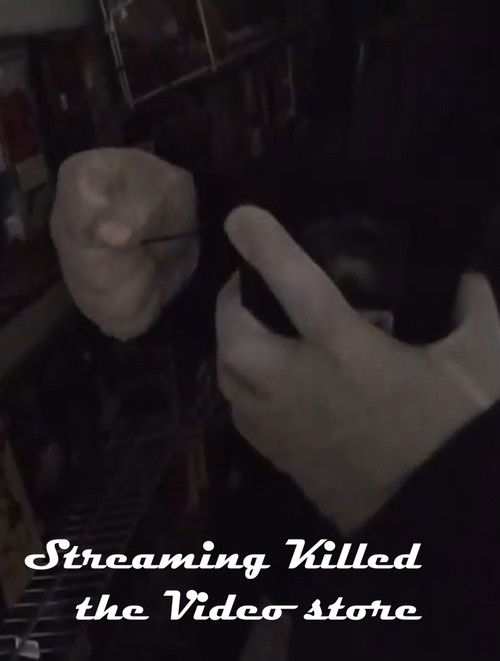 Movie poster for Streaming Killed the Video Store* (2026)