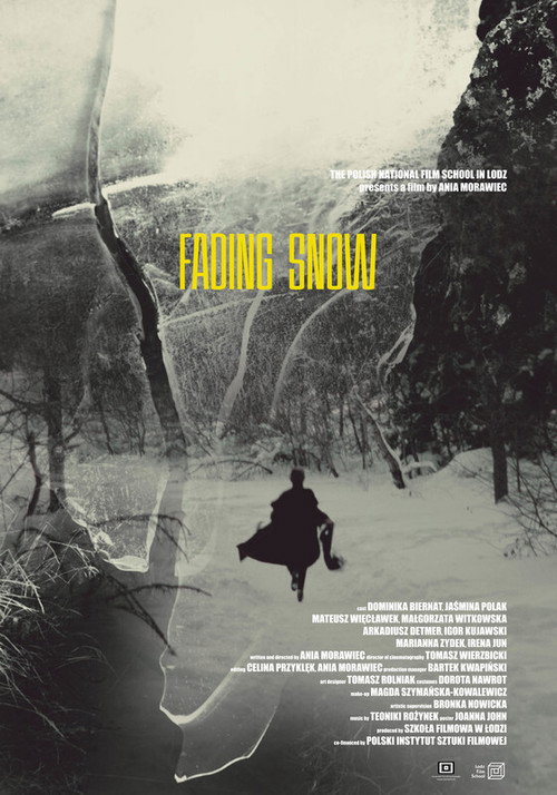 Movie poster for Fading Snow (2020)