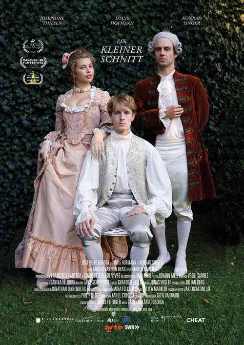 Movie poster for A Small Cut (2020)