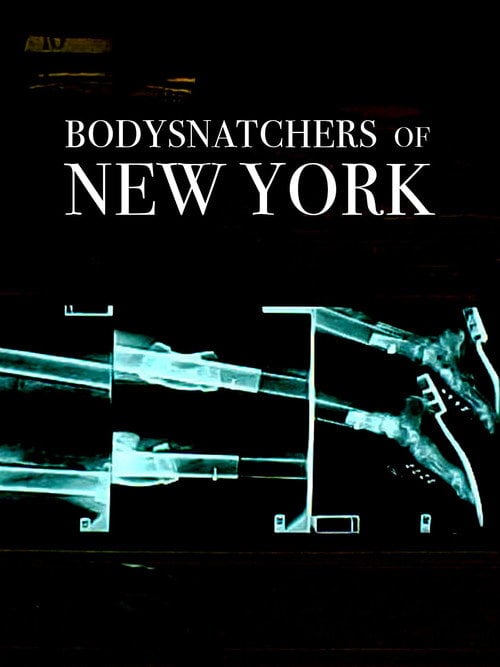 Movie poster for Bodysnatchers of New York (2010)