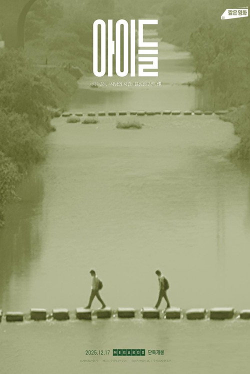 Movie poster for Boys (2008)