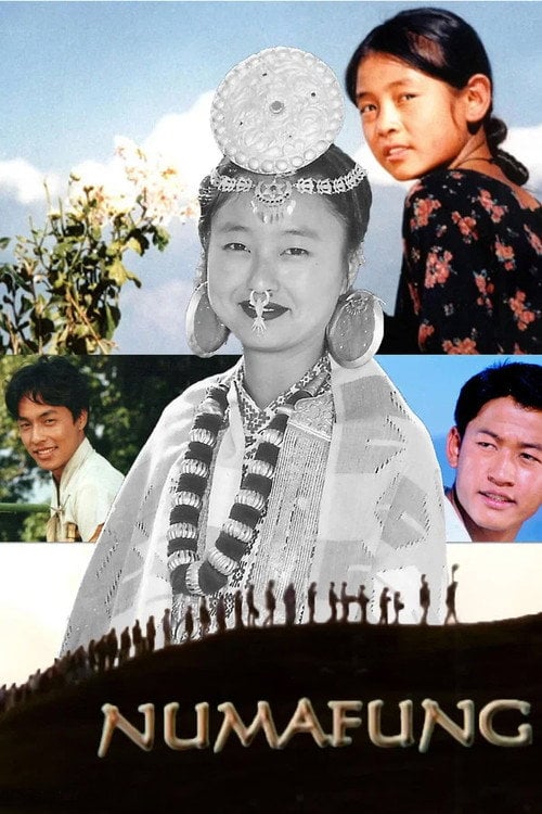 Movie poster for Numafung (2003)