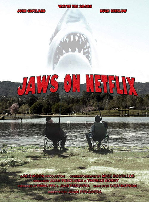 Movie poster for Jaws on Netflix (2013)
