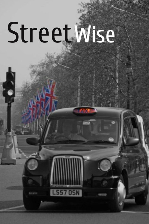 Movie poster for Streetwise (1996)