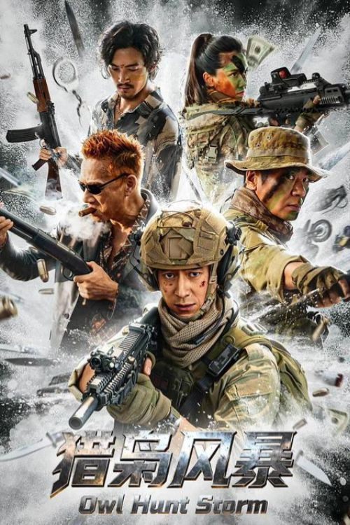 Movie poster for Owl Hunt Storm (2026)