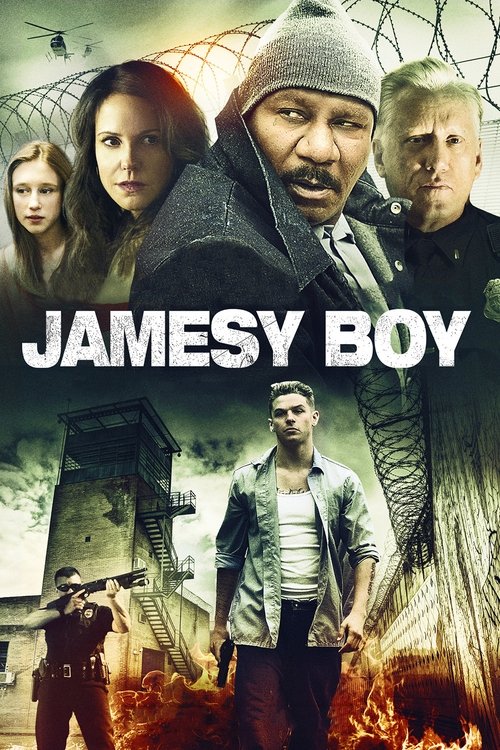 Movie poster for Jamesy Boy (2014)