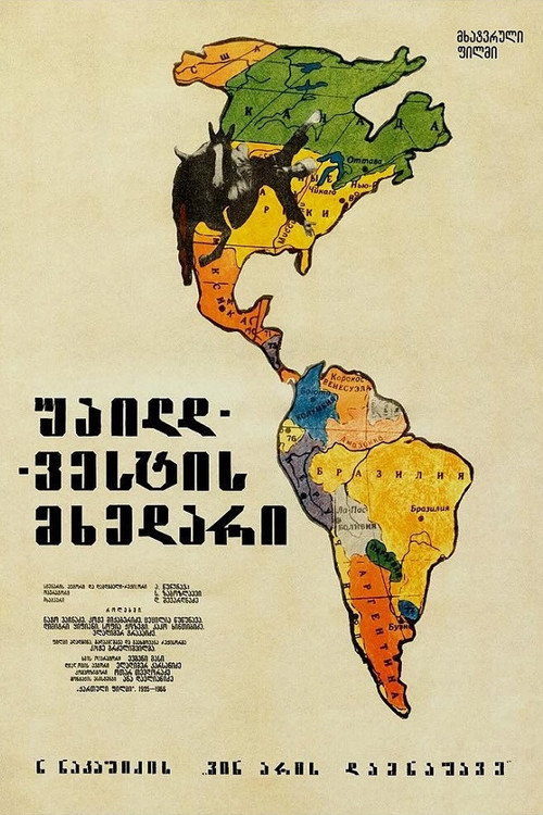 Movie poster for Who Is Guilty? (1925)