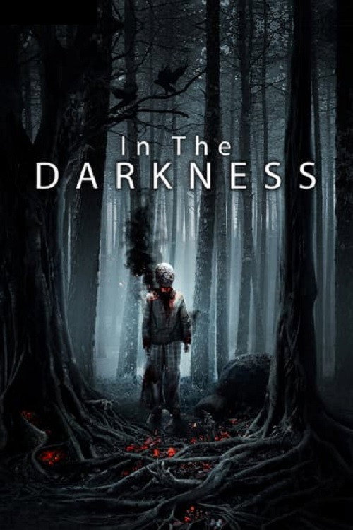 Movie poster for In the Darkness (2018)