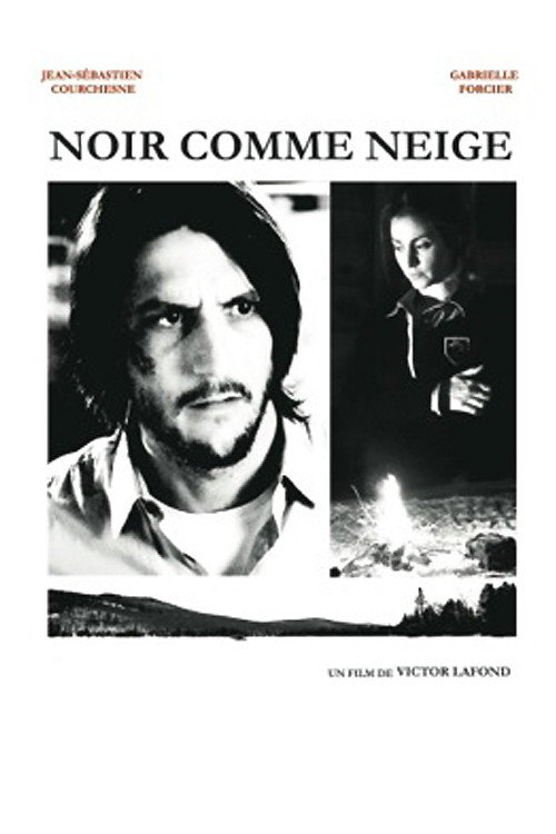 Movie poster for Noir comme neige (2015)