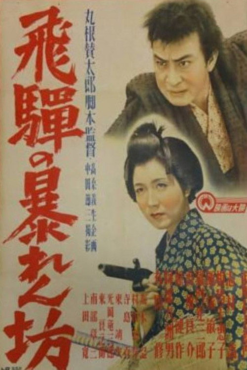 Movie poster for Hida no abarenbō (1949)