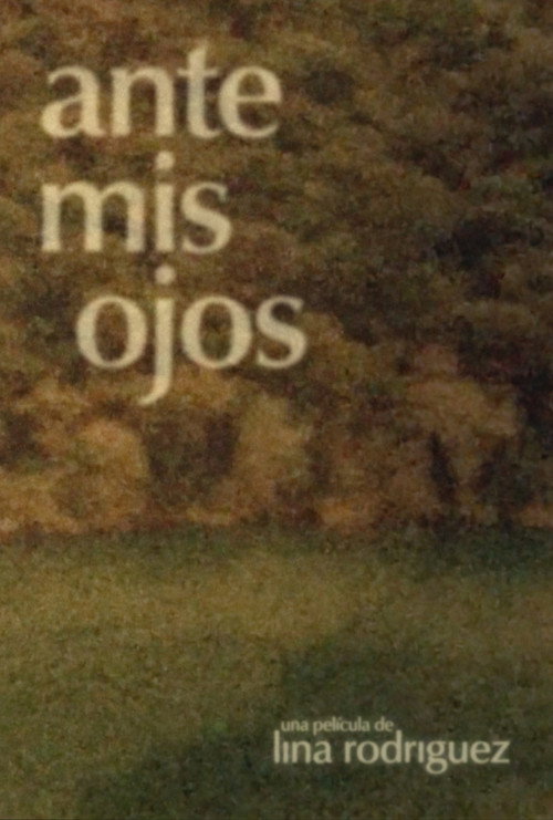 Movie poster for Ante mis ojos (2018)
