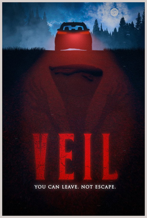 Movie poster for VEIL (2026)