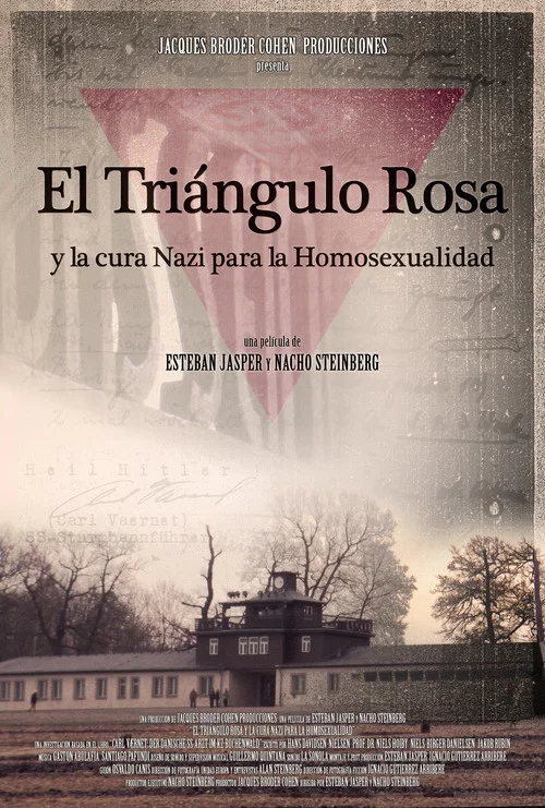 Movie poster for The Pink Triangle and the Nazi Cure for Homosexuality (2014)
