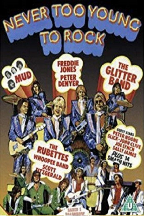 Movie poster for Never Too Young to Rock (1976)