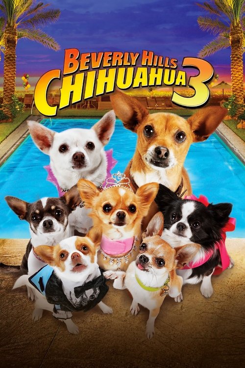 Movie poster for Beverly Hills Chihuahua 3: Viva la Fiesta! (2012)