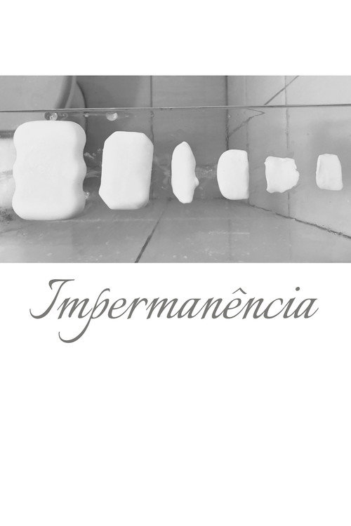 Movie poster for Impermanence (2022)