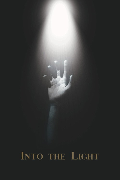 Movie poster for Into the Light (2023)