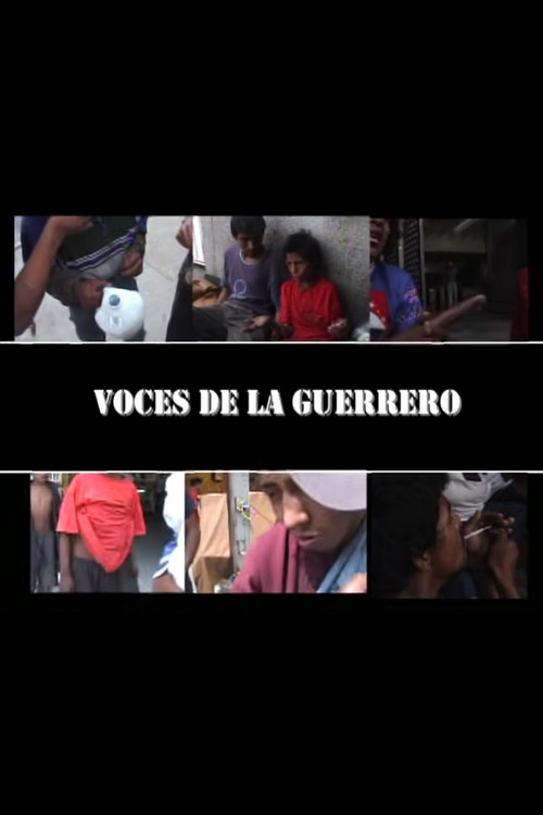 Movie poster for Voces de la Guerrero (2004)