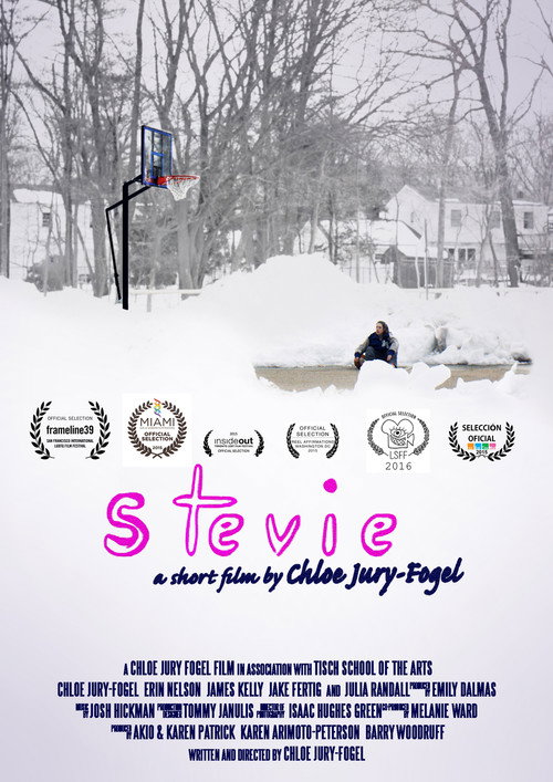 Movie poster for Stevie (2014)
