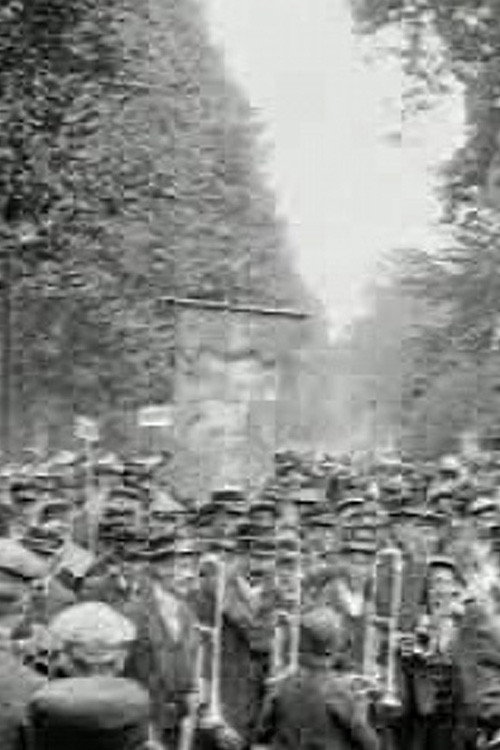 Movie poster for Apeldoorn, groot nationaal muziekconcours (1912)