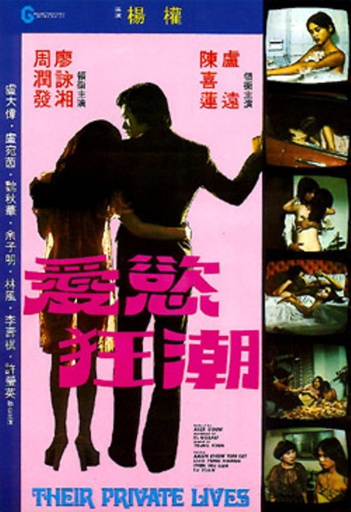 Movie poster for Their Private Lives (1978)