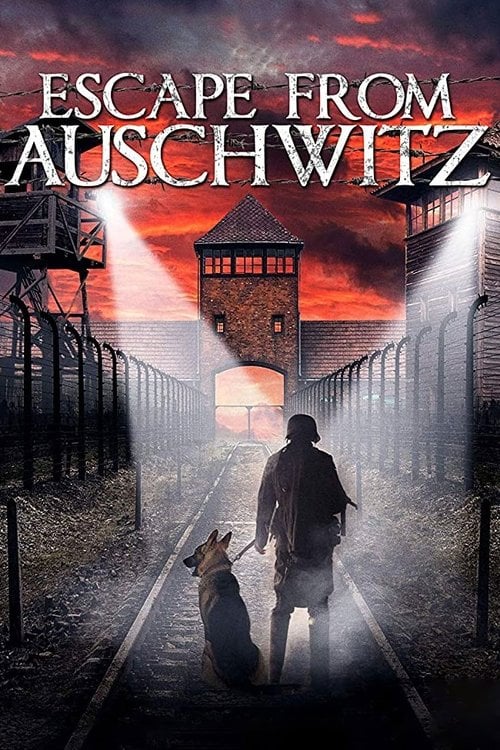 Movie poster for The Escape from Auschwitz (2020)