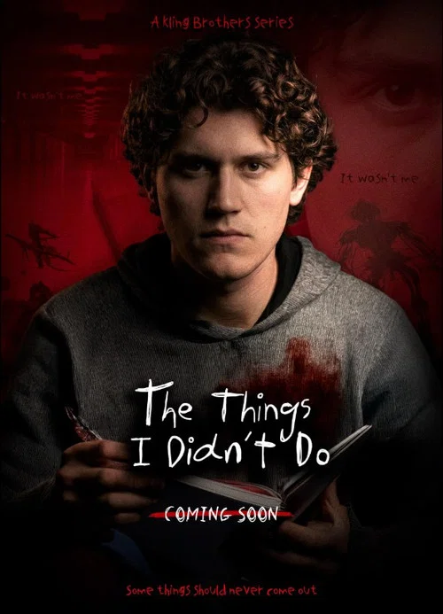 Movie poster for The Things I Didn't Do