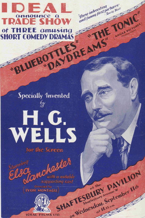 Movie poster for The Tonic (1928)