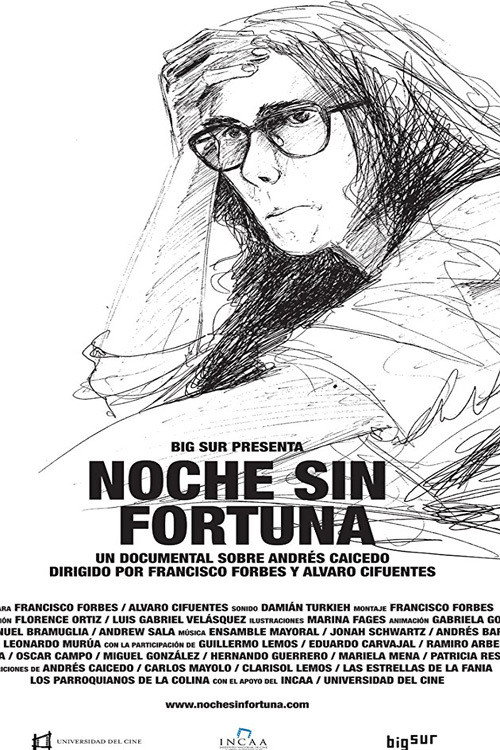 Movie poster for Noche sin fortuna (2011)