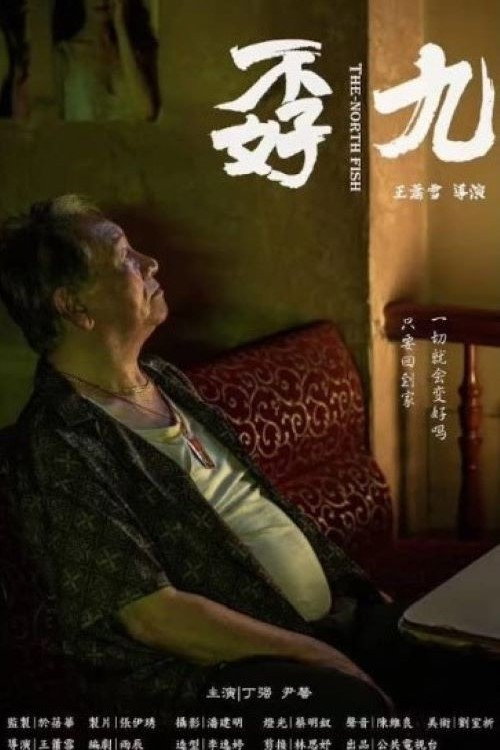 Movie poster for The North-Ming Fish (2020)