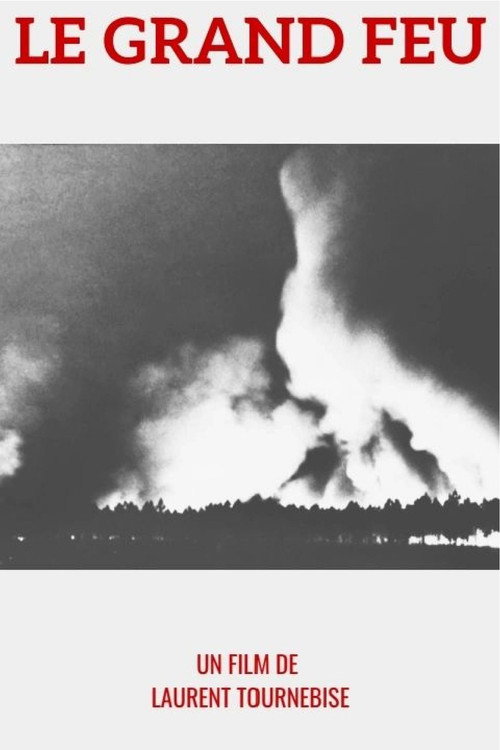 Movie poster for 1949 : le Grand feu (2025)