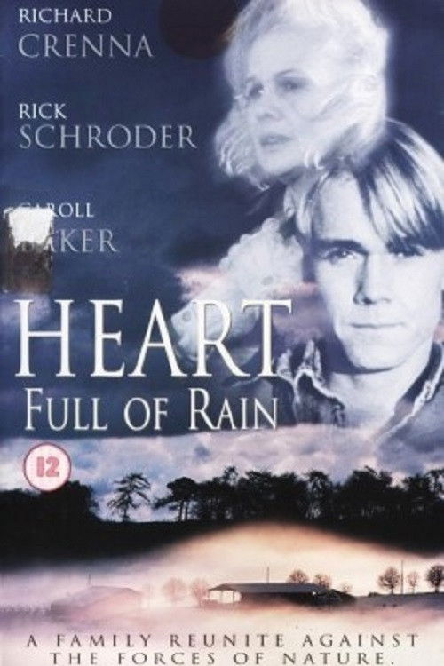 Movie poster for Heart Full of Rain (1997)